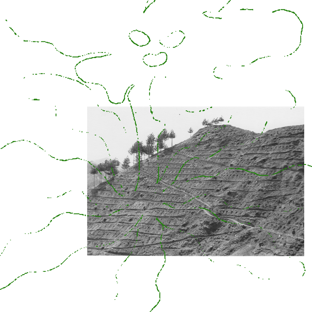 Spiritelli-trasp.png
