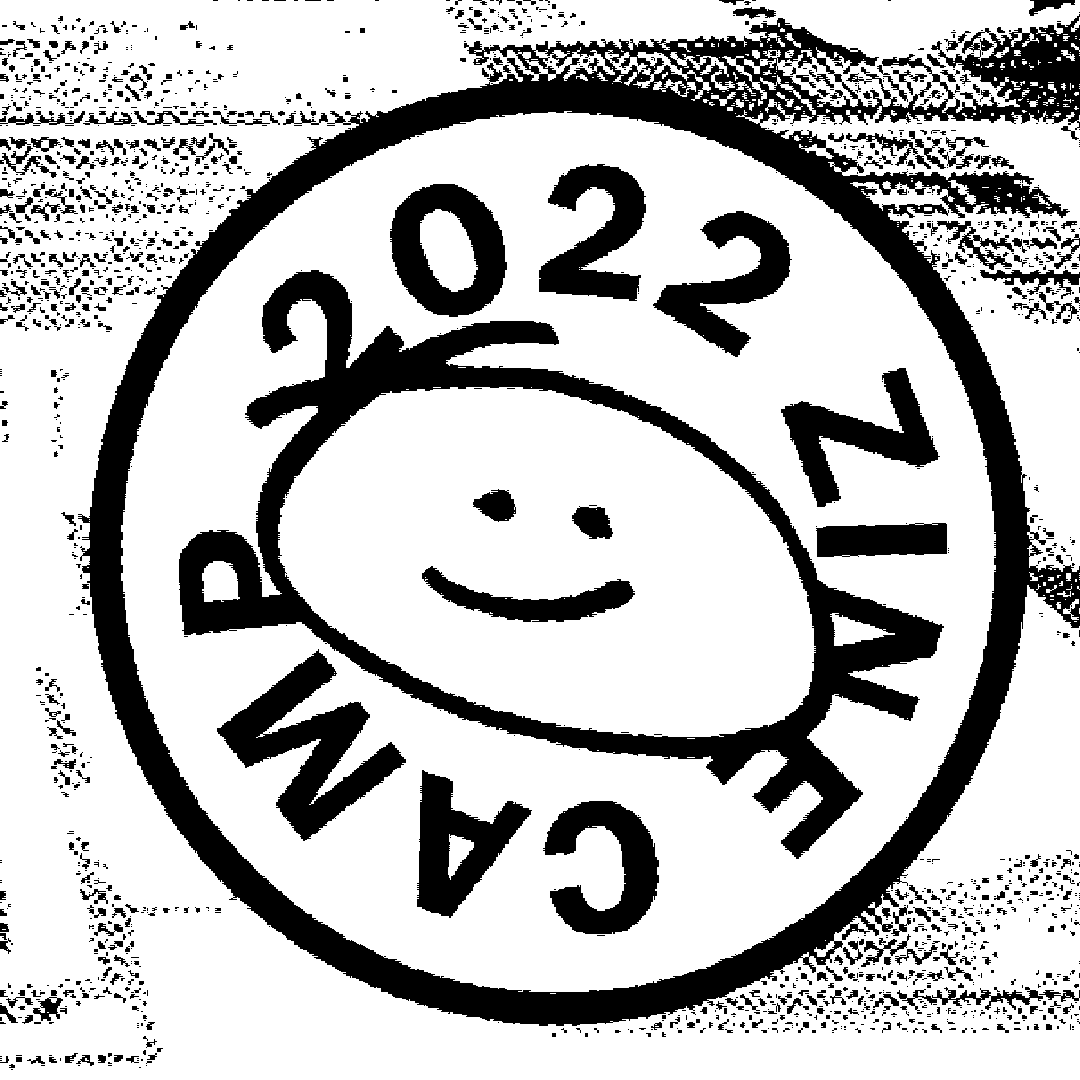 Zinecamp-2022Tavola disegno 1.png